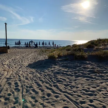 Massilor Галлиполи