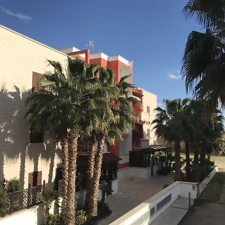 Massilor 加利波利