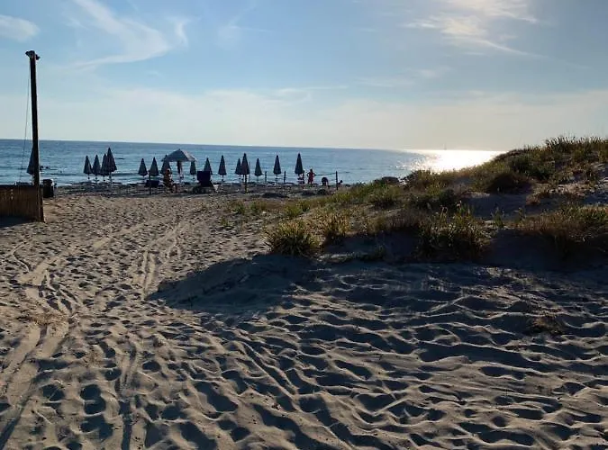 Massilor Галлиполи