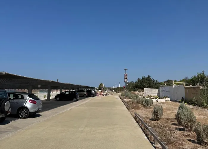 Massilor * גאליפולי